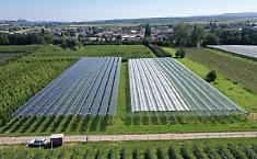 Santa Croce, Unicredit finanzia la costruzione di un impianto agrivoltaico da 6,2 milioni di euro