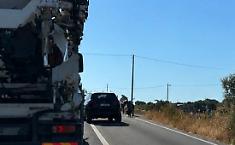 Auto contro vitelli sulla Ragusa-Vittoria
