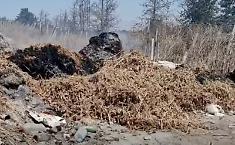 Vittoria, bruciano le discariche illegali di rifiuti agricoli: &laquo;Ci stanno avvelenando e non riusciamo a fermarli&raquo;