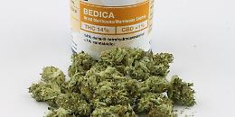 Cannabis terapeutica, la Regione siciliana dispenserà gratis il farmaco