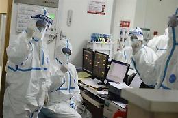 Influenza suina a Enna, due persone ricoverate (una è grave)