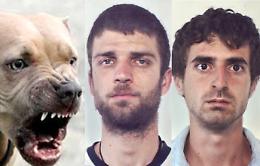 Catania: scatenano pitbull contro i carabinieri, arrestati due pusher