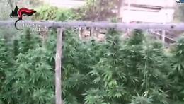 Laboratorio casalingo della droga a Villafrati: trapanese arrestato