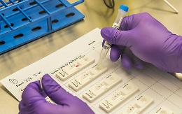 Coronavirus, da giugno in 4 regioni  incremento di casi tra l'80 e il 150%: e c'&egrave; la Sicilia