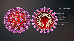 Coronavirus, a Naro diversi alunni trovati positivi con i tamponi rapidi