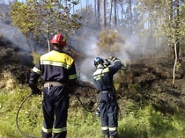 Arrestato forestale stagionale: aveva appena appiccato un incendio