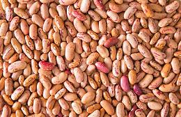 Rischio legumi con glifosato anche in Sicilia: Coldiretti lancia l'allarme