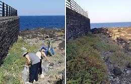 Associazione ripulisce il lungomare di Catania: raccolti 31 sacchi di rifiuti