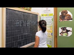 Test Invalsi, Sicilia dietro la lavagna: studenti sotto gli standard nazionali