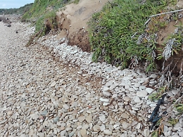 Ragusa, Riserva Naturale del Fiume Irminio: dune a rischio erosione