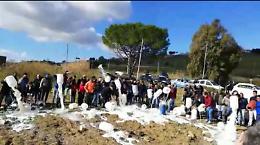 Scorre latte vicino all’Outlet Village, allevatori ne sversano 2.000 litri...