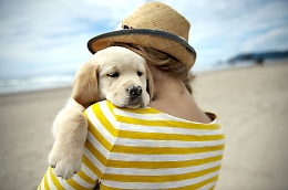 Oltre metà degli italiani vuole cani e gatti con sé in vacanza