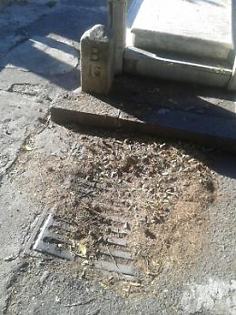 Una mattina al cimitero di Catania tra incuria e degrado