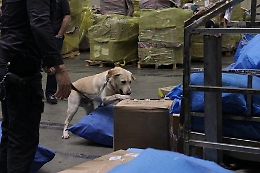 Palermo: 2 quintali di hashish spediti per Posta, presi mittente e destinatario