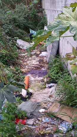 In via San Pio X, in prossimit&agrave; della fermata del bus,  rifiuti su aiuole e marciapiedi