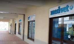 Ad Enna l'unica clinica del Sud Italia con dialisi per cani e gatti salva Ettore, indispensabile per l'equilibrio psichico della sua padroncina