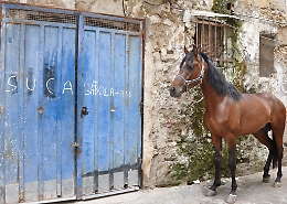 I mestieri (misteri) di Ballar&ograve;