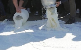 Ancora del latte sversato in Sicilia, protesta degli allevatori ragusani