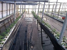 Maltempo gennaio 2017, dichiarato stato di calamità a Ragusa e Marineo