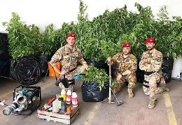 Piantagione di "skunk" a Patern&ograve;: arrestati due "coltivatori"