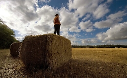 Dalla Regione 235 milioni per i giovani che hanno deciso di tornare nelle campagne