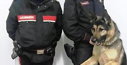 Zafferana Etnea, titolare di una pizzeria arrestato per possesso di droga