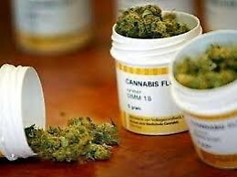 Cannabis di Stato, cure ancora negate. Il flop in Sicilia