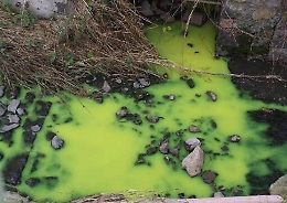 Giarre, torrente diventa verde: preoccupati gli abitanti della zona