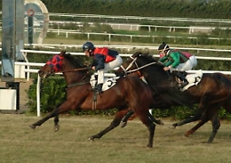 Ippodromo di Milano: fantino catanese si infortuna per buca