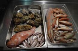 Catania, controlli polizia ristoranti e officine