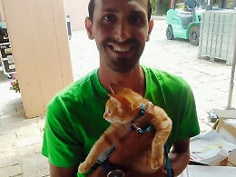 Ginger, il gatto del villaggio, &laquo;emigrato&raquo; a Torino