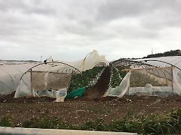 Maltempo nel Siracusano, danni a Marzamemi, Pachino e Portopalo