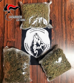 Catania, in auto e nel controsoffitto del bagno 1,5 chili di Skunk: arrestata coppia