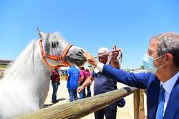 Ad Ambelia apre la "Fiera mediterranea del cavallo": è la festa dello sport equestre