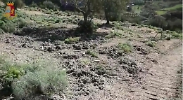 Allevatore ucciso a Nicosia, l'inchiesta si sta allargando