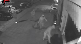 Dai furti e allo spaccio di droga, sgominata banda “multitasking” a Palermo