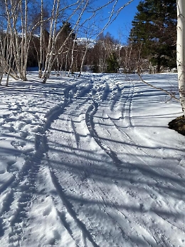 Parco dell'Etna: fuoristrada nell’area protetta dei Monti Sartorius