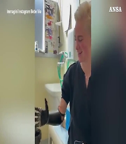 La scelta di Bebe Vio su nuovi "mani e piedi": &laquo;Quale vi piace di pi&ugrave;&raquo;?