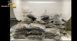 Corriere con 32 chili di marijuana in auto arrestato agli imbarcaderi