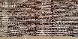 International Paper investe 20 milioni di euro nei suoi 3 stabilimenti italiani, uno dei quali a Catania