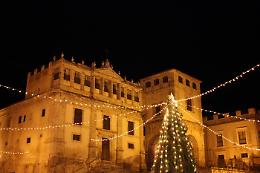 Palma di Montechiaro, la Giunta delibera la "Giornata dell'Albero di Natale"