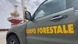 Nave con grano estero a Pozzallo: i controlli