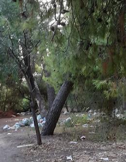 Calatabiano: riserva naturale di Fiumefreddo stracolma di rifiuti tra l'indifferenza dei forestali