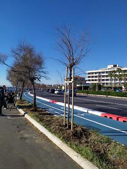 Viabilità Rotolo-Europa, per il centro commerciale "fantasma" al lungomare il Comune di Catania deve pagare un milione