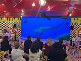 La Regione Siciliana punta sulla biodiversità e la tutela del Mediterraneo: il nuovo docufilm di Arpa Sicilia in anteprima a Ortigia