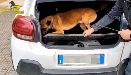 Il fiuto di Urban scova un chilo di cocaina nella ruota di scorta di un'auto agli imbarcaderi di Messina: un arresto