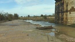 Arriva l'ok di Schifani: c'è una terza irrigazione di soccorso per gli agrumeti e i pescheti di Ribera