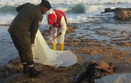 Naufragio in Libia: muoiono 18 migranti e la Refugees ong posta foto choc di cadaveri sulla spiaggia