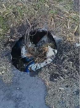 Viale Nitta dimenticato: buche, erba alta e blocchi New Jersey mai rimossi