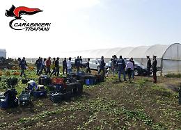Stranieri "abusivi" nelle campagne di Salemi: quattro denunciati